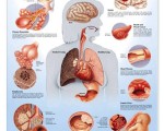 Top 10 Interesting Facts about Cigarette Smoking