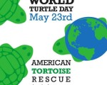 Top 10 Weirdest Turtles in the World