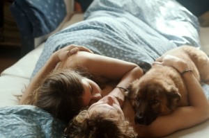 couple-dog-bed