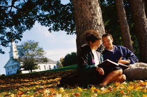 Couple Reading Book by Tree