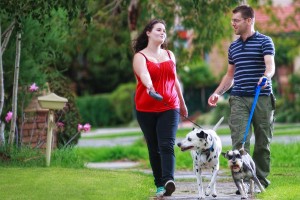 couple-walking-dog-in-park1