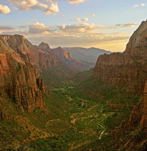 800px-Zion_angels_landing_view