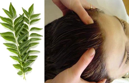 herbal-remedy-for-gray-hair-curry-leaves
