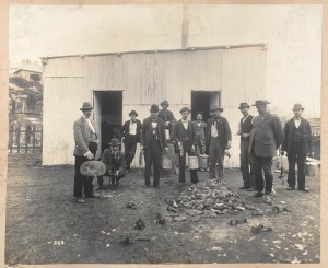 Professional_ratcatchers_Sydney_1900_Degotardi_a147264