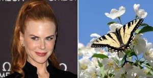 Nicole-Kidman-Butterflies