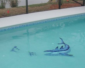 Shark pool 1
