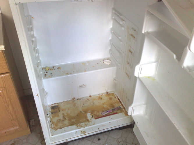 10 Things Dirtier Than Your Toilet Seat