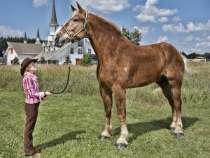 biggest-pets-in-the-world1920016688-jul-1-2014-1-600x450