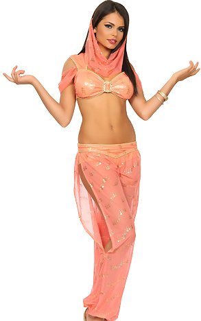 3WISHES-Desert-Jasmine-Costume-Sexy-Genie-Halloween-Costumes-for-Women-0