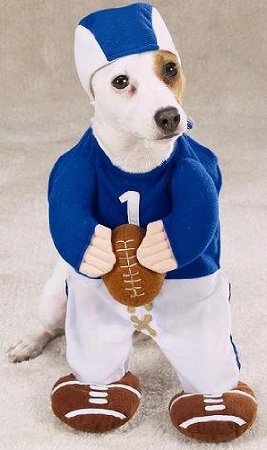 Halloween-Costume-Large-Dog-Football-Fever-Misc.-Misc.