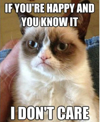 best-funniest-grumpy-cat-4