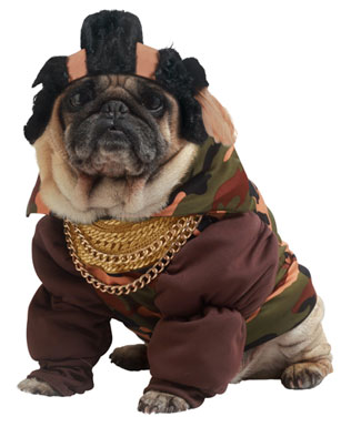 cute-dog-costumes-pity-the-fool-pet-dog-costume-21236