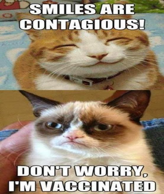 grumpy-cat-smiles-are-contagious