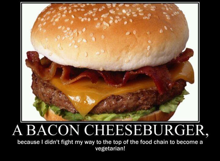 bacon-cheeseburger-food-chain