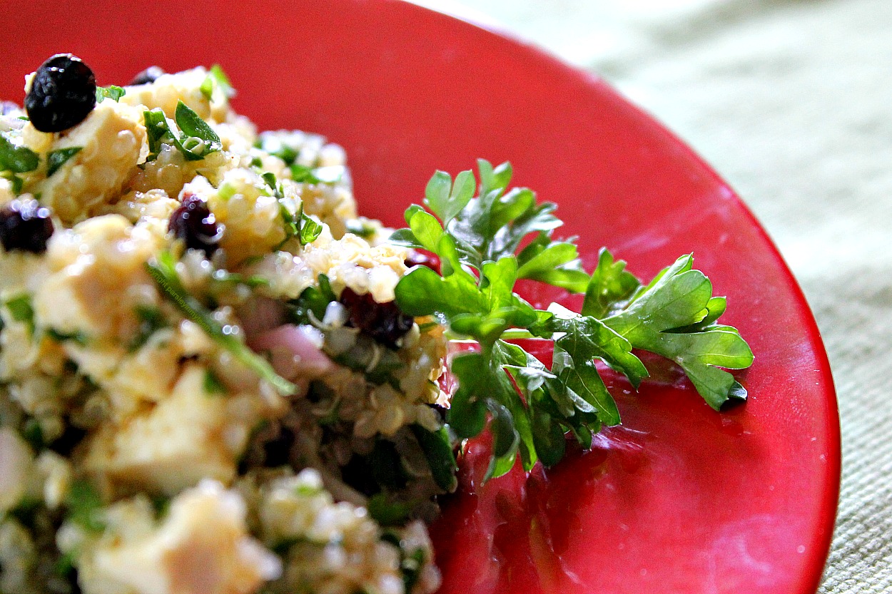 Curried-Quinoa-Tofu-Salad-4