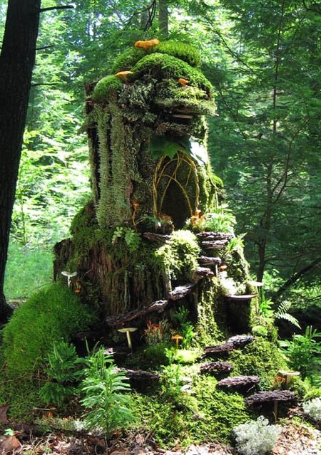 Forest moss house