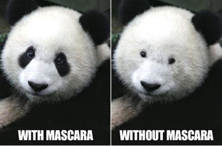 Funniest_Memes_with-mascara-and-without-mascara_8562