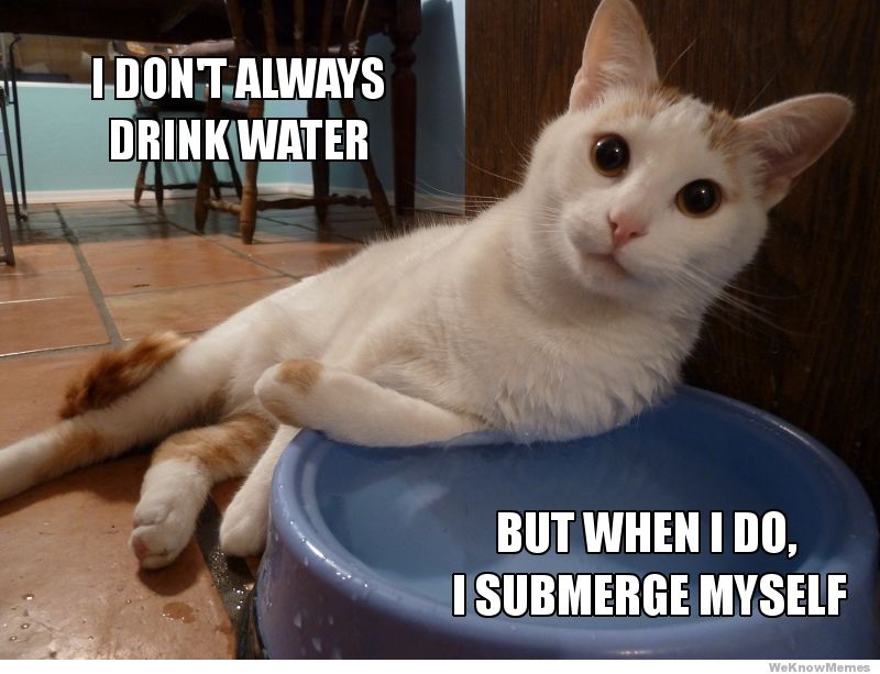i-dont-always-drink-water
