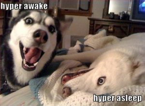 hyper-awake-hyper-asleep