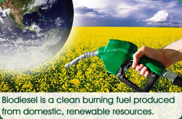 Top 10 Biodiesel Producing Countries in the World