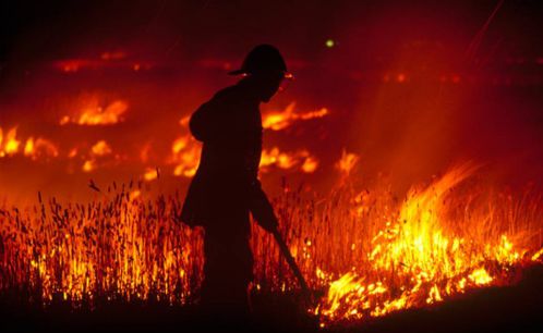 Top 10 Worst Wildfires in the World